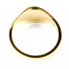 9 Carat Yellow Gold Signet Ring